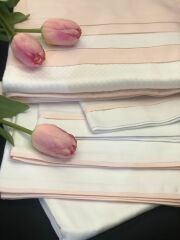 Meltem Pudra Pike Takımı