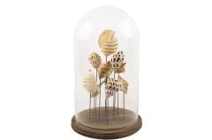 Ceviz Standlı Deniz Kabuğu Yuvarlak Cam Fanus 22,5x38cm