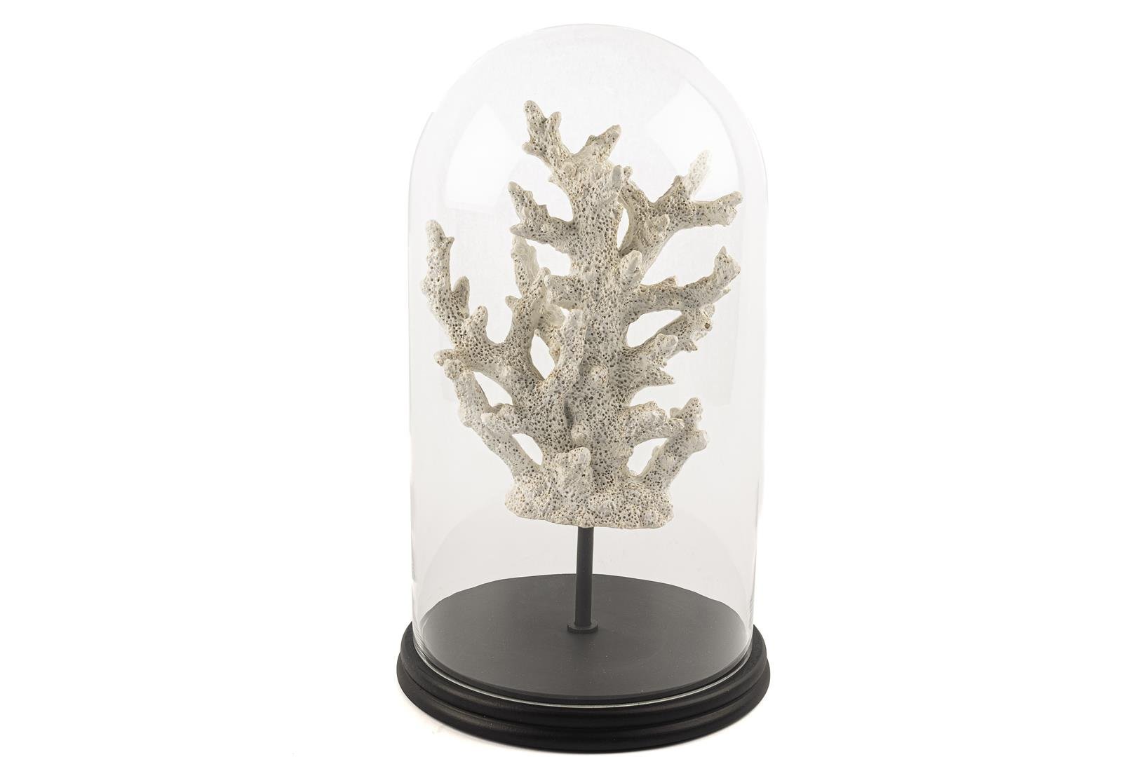 Ahşap Standlı Mercan Beyaz Yuvarlak Cam Fanus 22x38cm