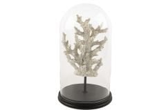 Ahşap Standlı Mercan Beyaz Yuvarlak Cam Fanus 22x38cm