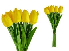 10Lu Lale Sarı 30