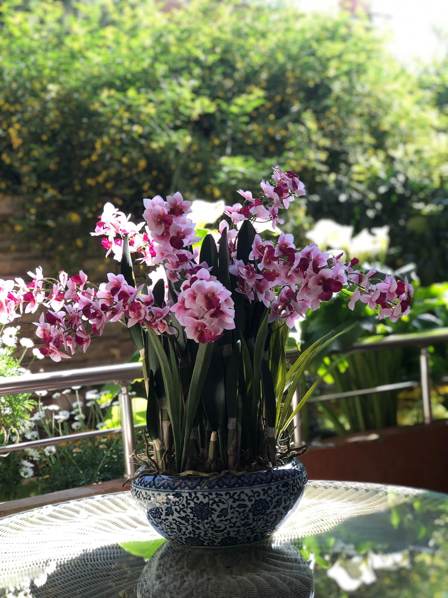 11 Adet Orkideli Porselen Kase