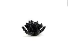 Twilight Coral Cam Dek Aks 20x10cm